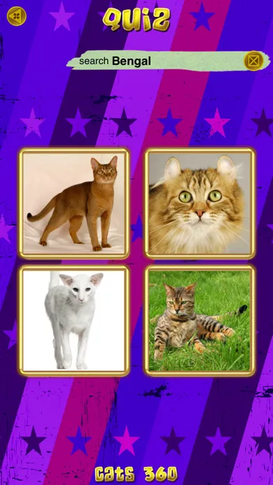 صور Cats 360