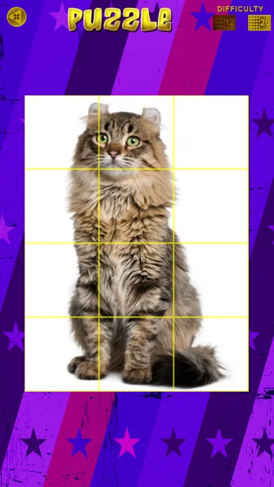 صور Cats 360