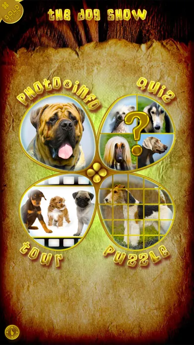 Captures d'écran de My Big Dog Show