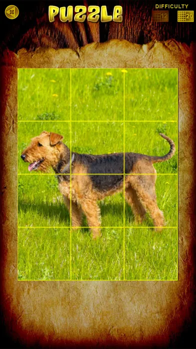 Captures d'écran de My Big Dog Show
