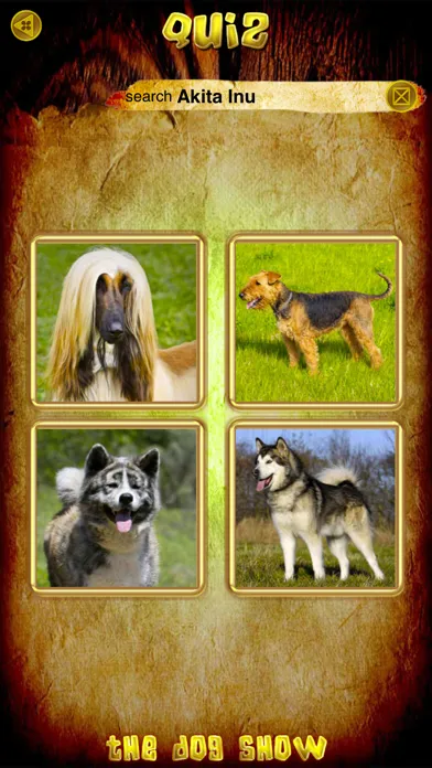 Captures d'écran de My Big Dog Show