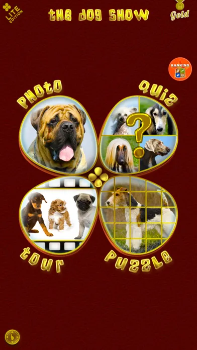 تصاویر My Little Dog Show