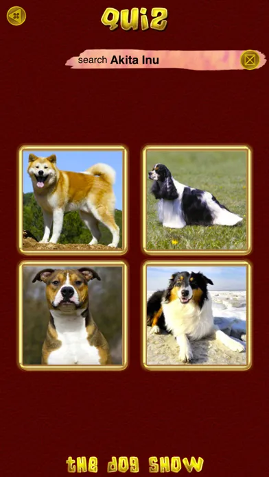 تصاویر My Little Dog Show