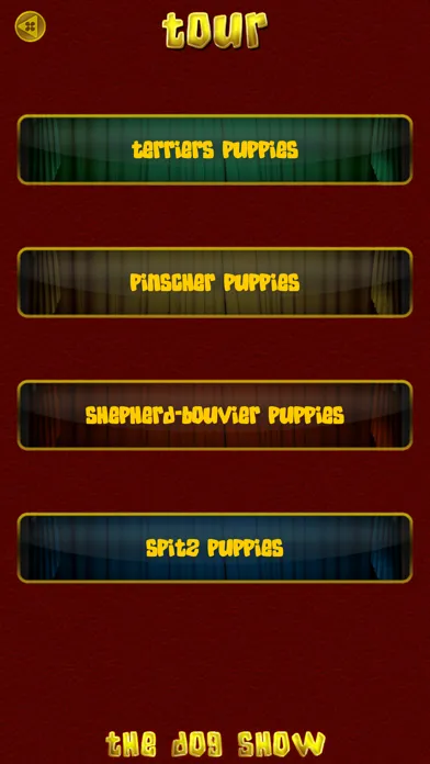 تصاویر My Little Dog Show