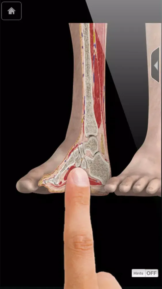 Captures d'écran de Ankle & Foot Pro III