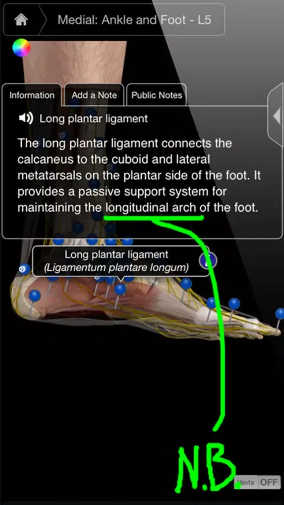 Captures d'écran de Ankle & Foot Pro III