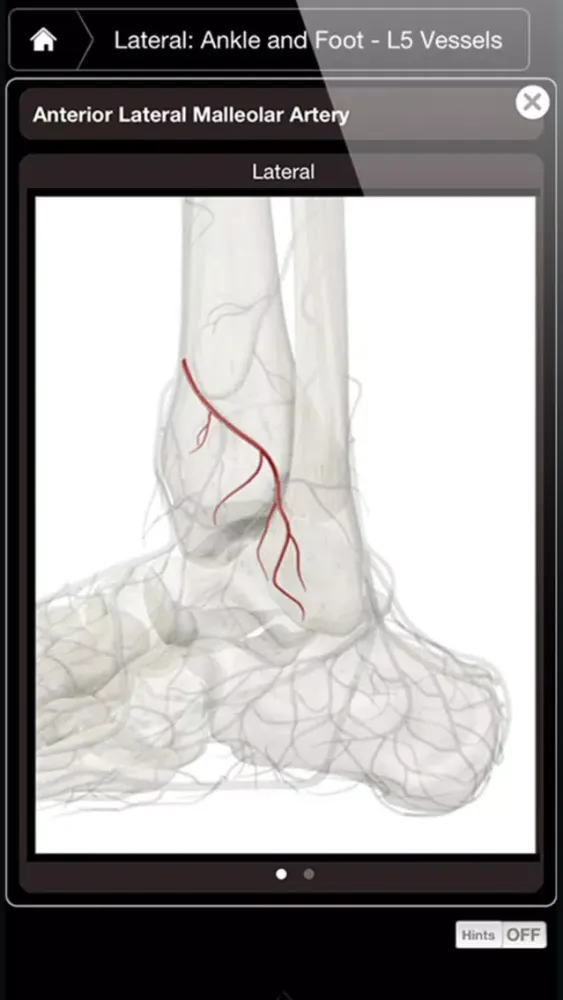 Captures d'écran de Ankle & Foot Pro III