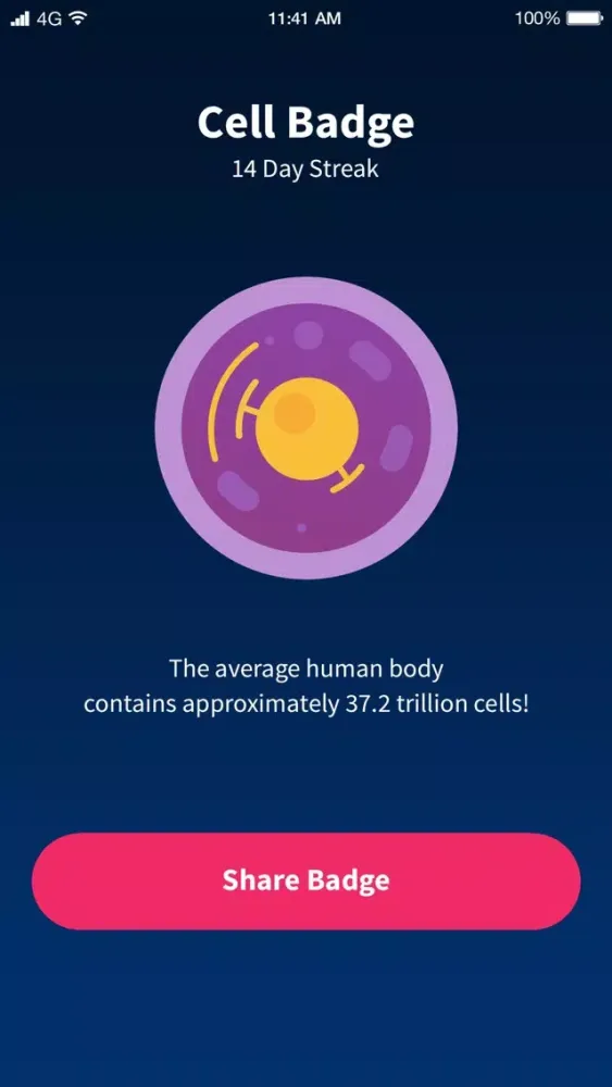 صور Quiz Anatomy