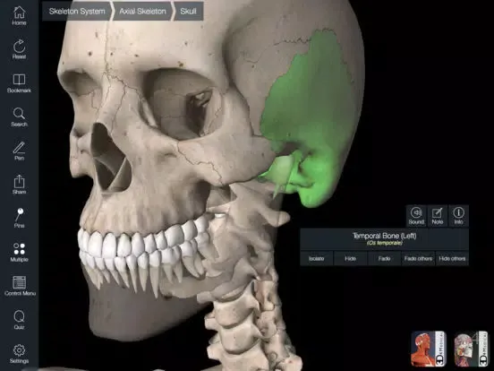 Capturas de tela do Essential Skeleton 4 iPad 