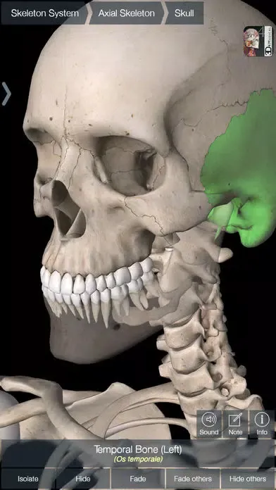 Capturas de tela do Essential Skeleton 4