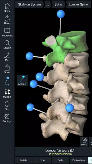 Capturas de tela do Essential Skeleton 4