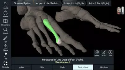 Capturas de tela do Essential Skeleton 4