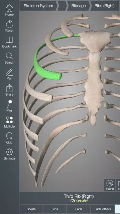 Capturas de tela do Essential Skeleton 4