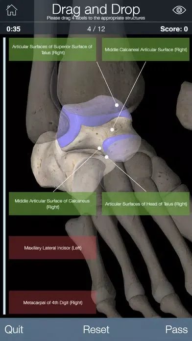 Capturas de tela do Essential Skeleton 4