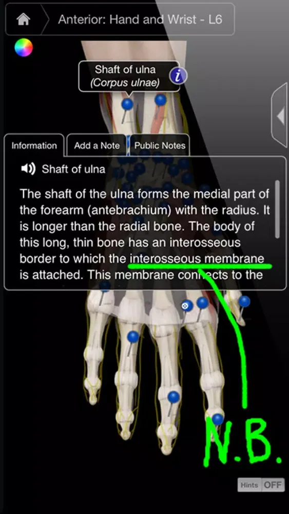 Capturas de pantalla de Hand & Wrist Pro III