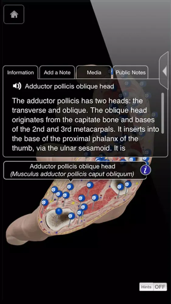 Capturas de pantalla de Hand & Wrist Pro III