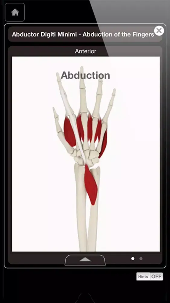 Capturas de pantalla de Hand & Wrist Pro III