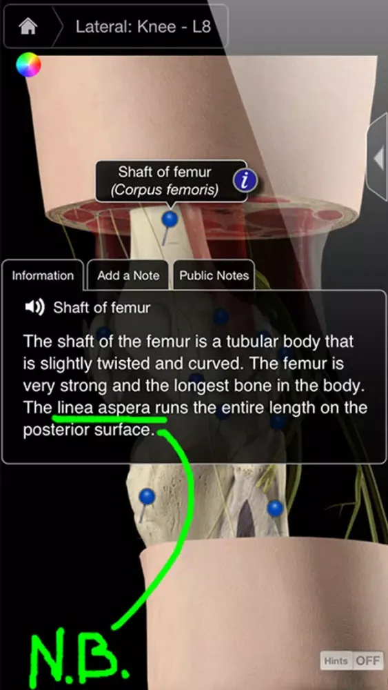 Knee Pro III Ekran Görüntüleri