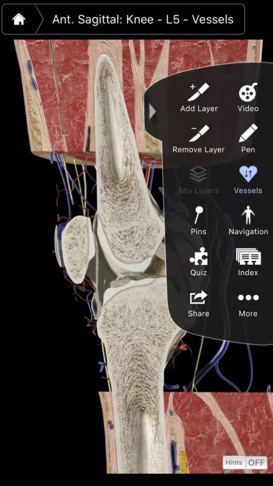 Knee Pro III Ekran Görüntüleri