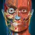 Anatomy Learning - 3D Anatomy