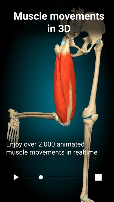 Tangkapan layar Anatomy Learning - 3D Anatomy