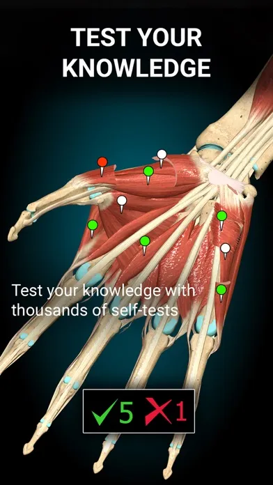 Tangkapan layar Anatomy Learning - 3D Anatomy