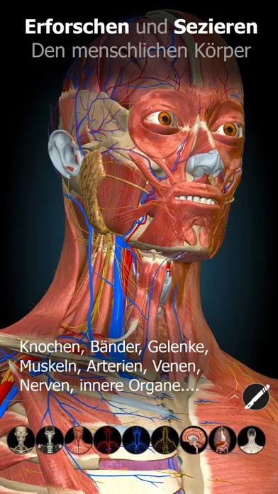 Tangkapan layar Anatomy Learning - 3D Anatomy