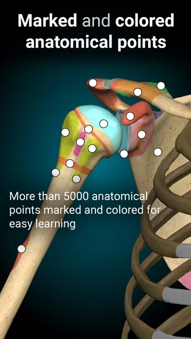 Tangkapan layar Anatomy Learning - 3D Anatomy