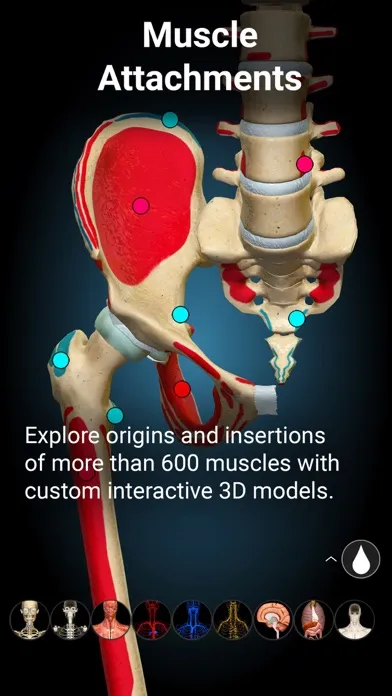 Tangkapan layar Anatomy Learning - 3D Anatomy