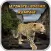 Ultimate Leopard Rampage