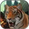 Ultimate Tiger Rampage