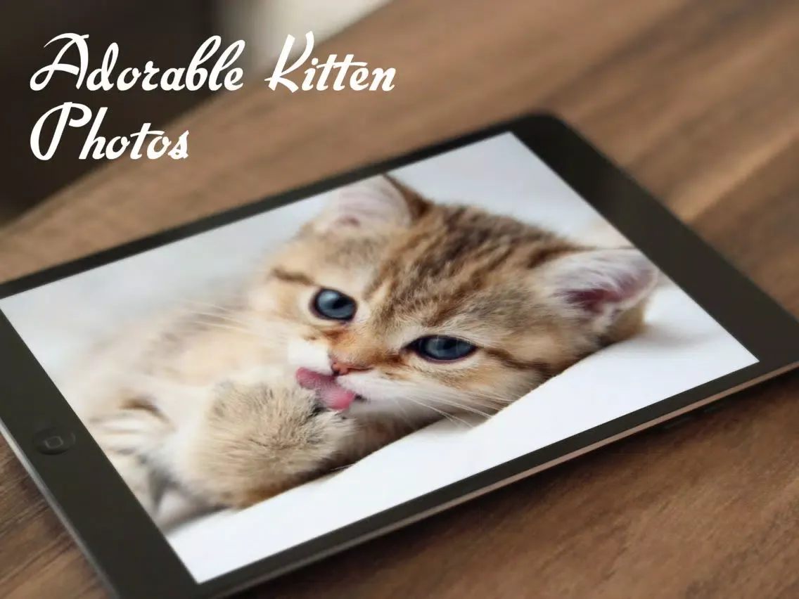 Tangkapan skrin Cats™ iPad 