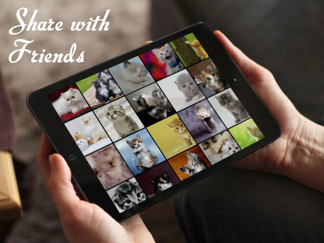 Cats™ iPad 应用截图