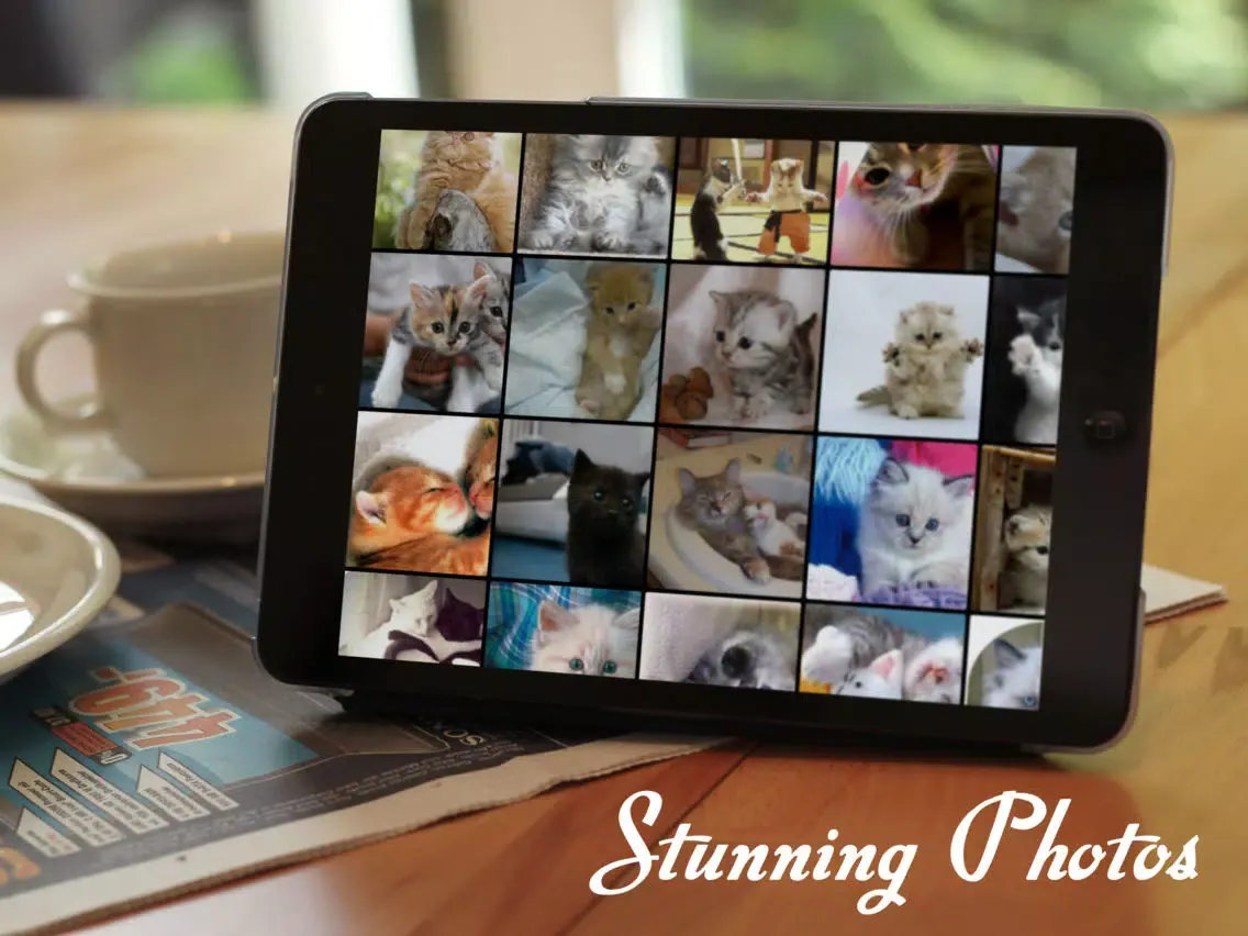 Tangkapan skrin Cats™ iPad 
