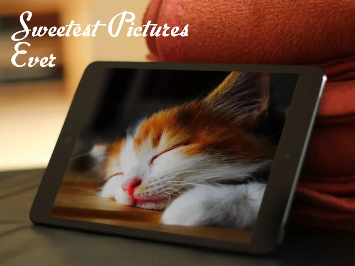 Tangkapan skrin Cats™ iPad 