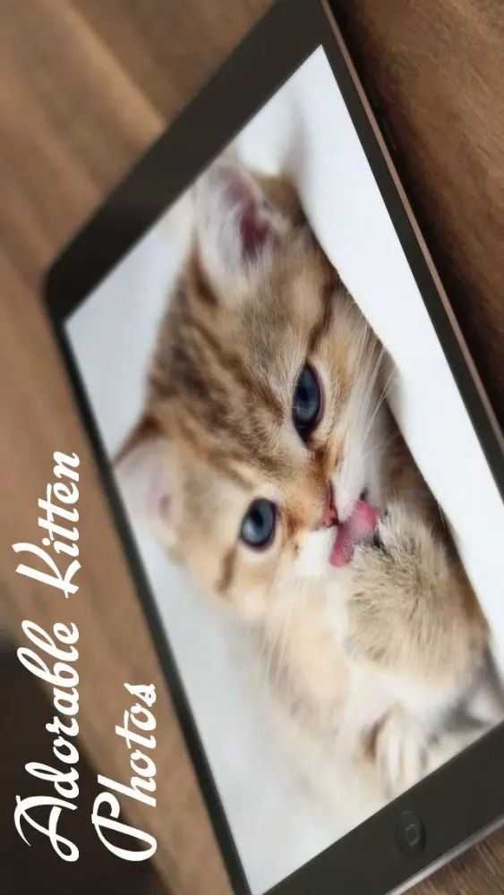 Tangkapan skrin Cats™