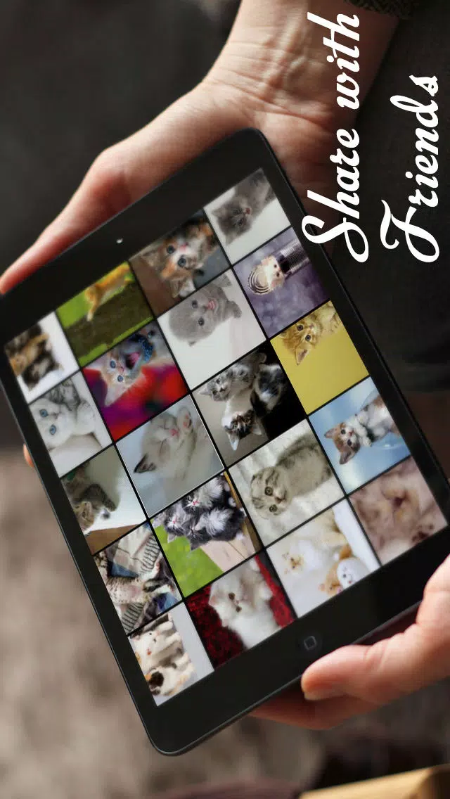 Cats™应用截图