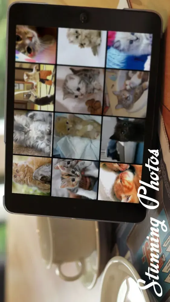 Tangkapan skrin Cats™