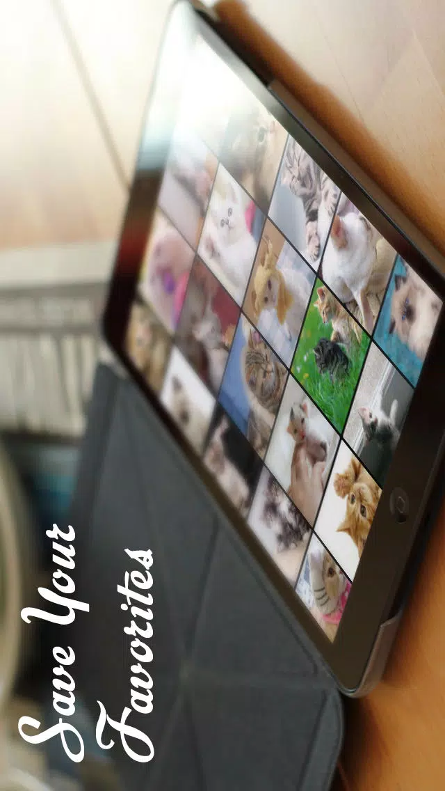 Cats™应用截图