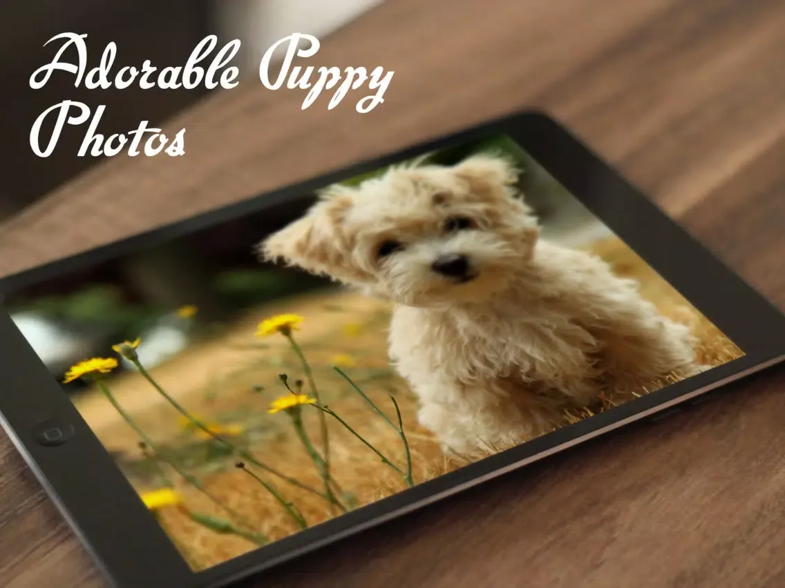 Tangkapan layar Dogs™ iPad 