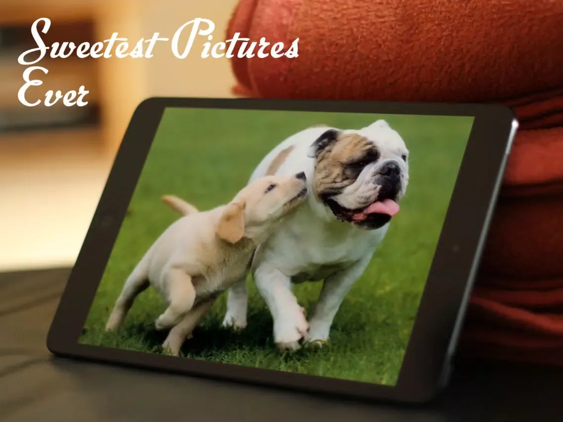 Tangkapan layar Dogs™ iPad 