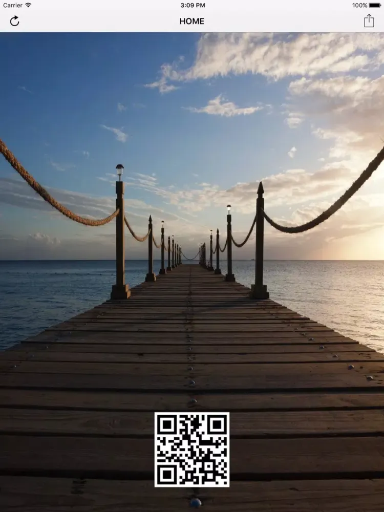 SNAP QR Creator iPad 应用截图