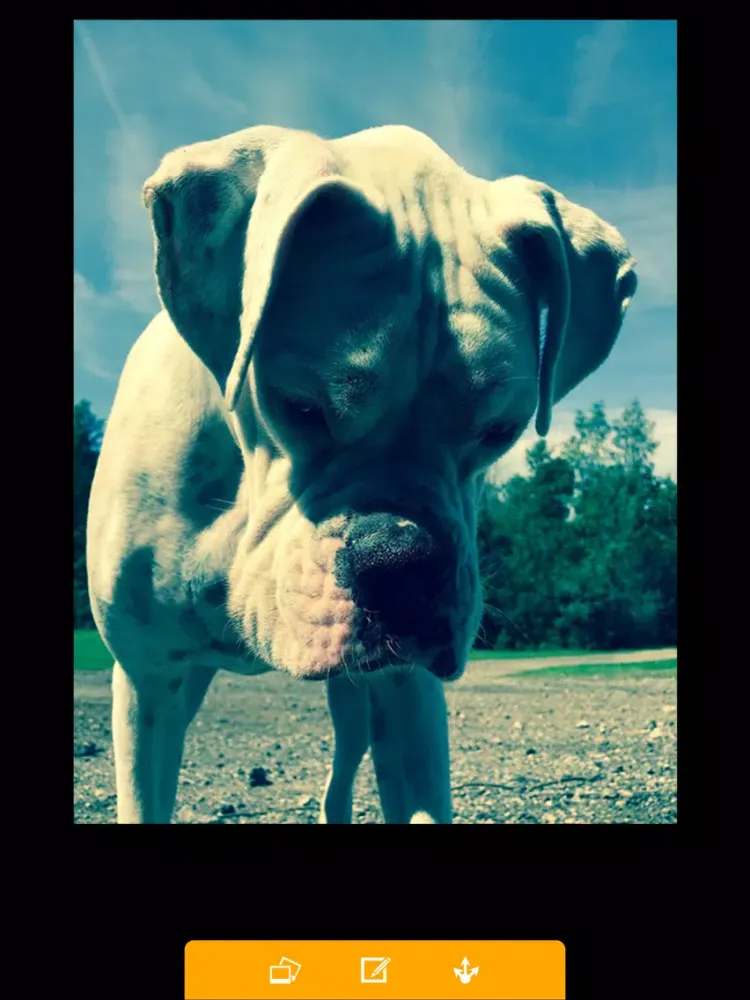 Screenshot di Photogram lite - best photo editor iPad 