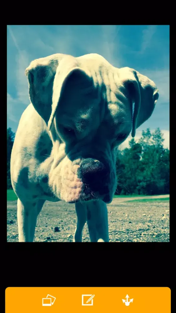 Screenshot di Photogram lite - best photo editor