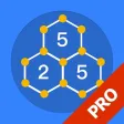 Slitherlink - Pro