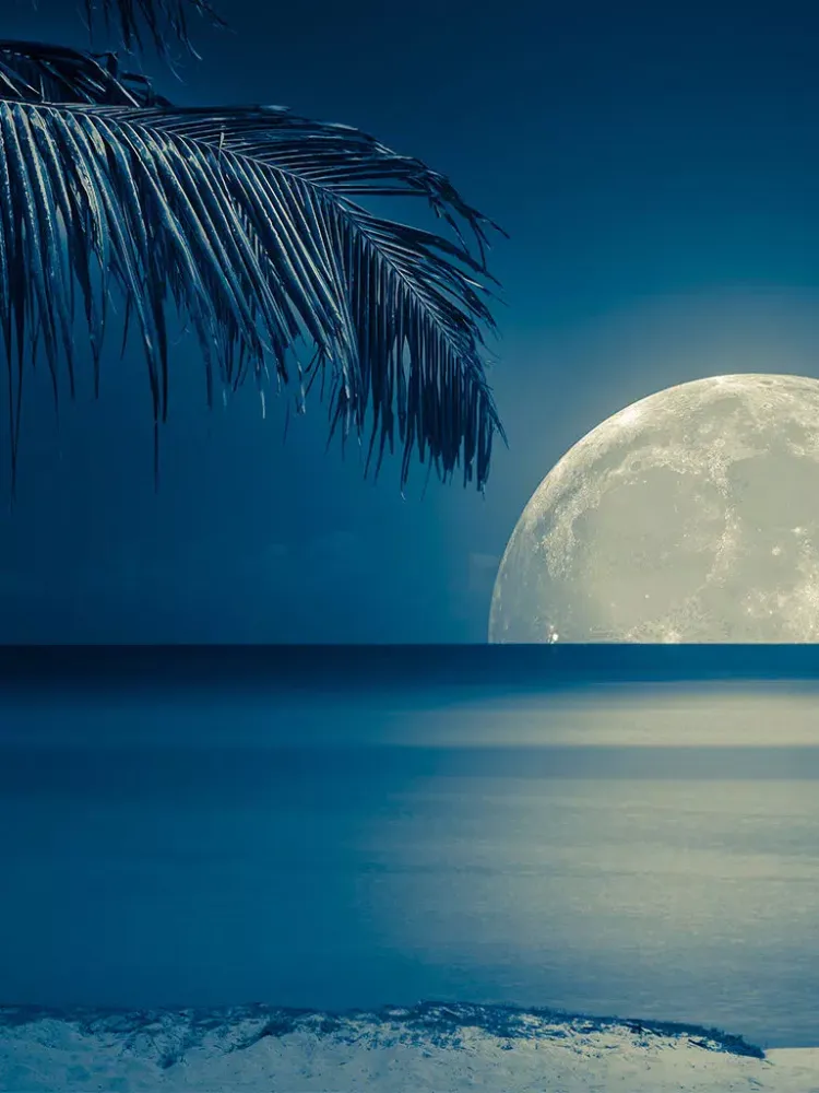 ภาพหน้าจอของ Aarons Beach Paradise iPad 