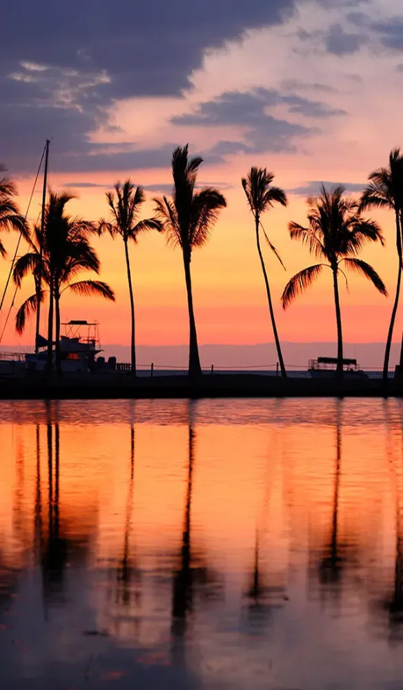 ภาพหน้าจอของ Aarons Beach Paradise