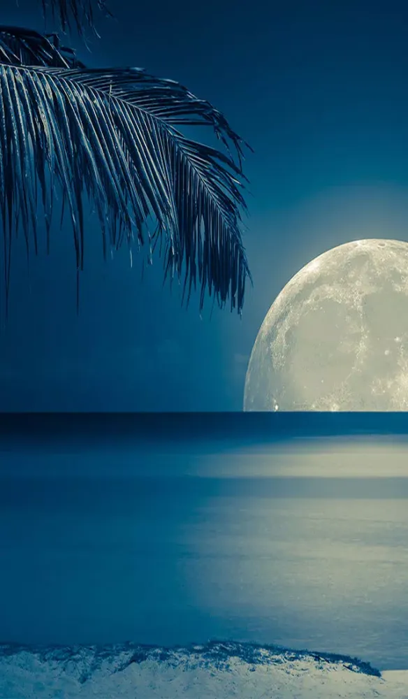 ภาพหน้าจอของ Aarons Beach Paradise