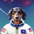 Petpix - AI Pet Avatars Petpix - AI Pet Avatars