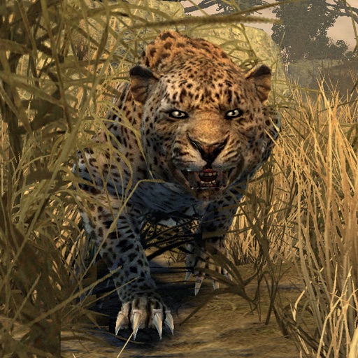 Animal Hunting : African Jungle Animal Hunting : African Jungle